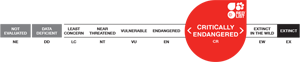 IUCN Red List - Conservation Status - Critically Endangered